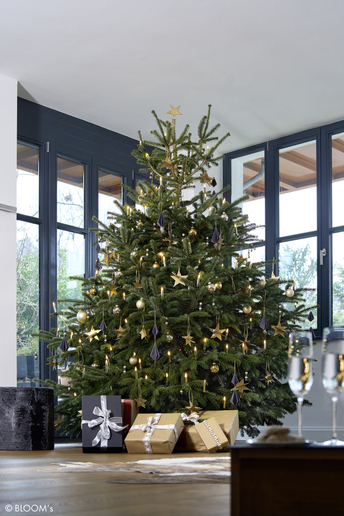 LUMIX SuperLight Pearls Gold Mini Erweiterung