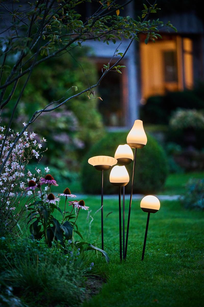 LUMIX Solar Flower Rosy