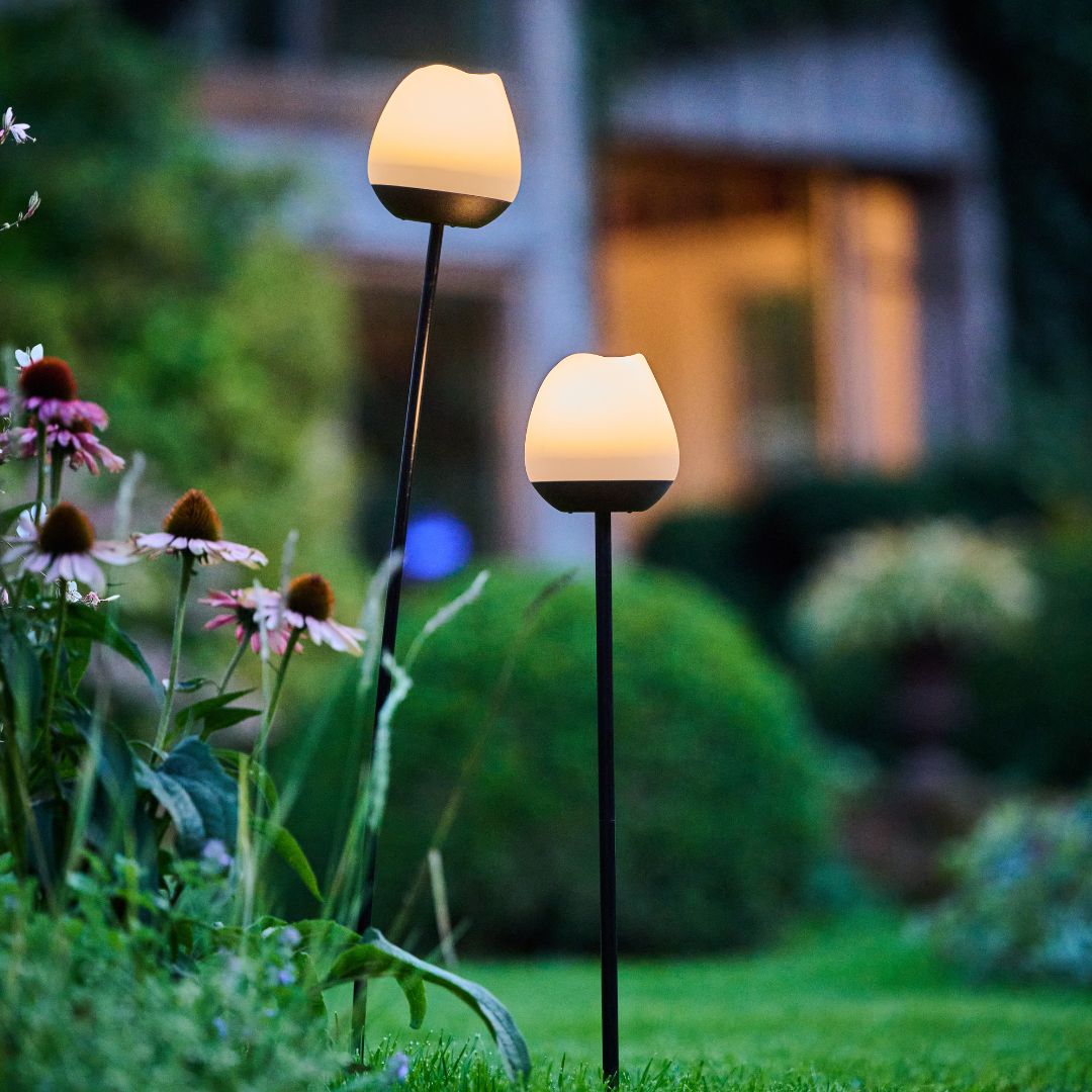 LUMIX Solar Flower Rosy