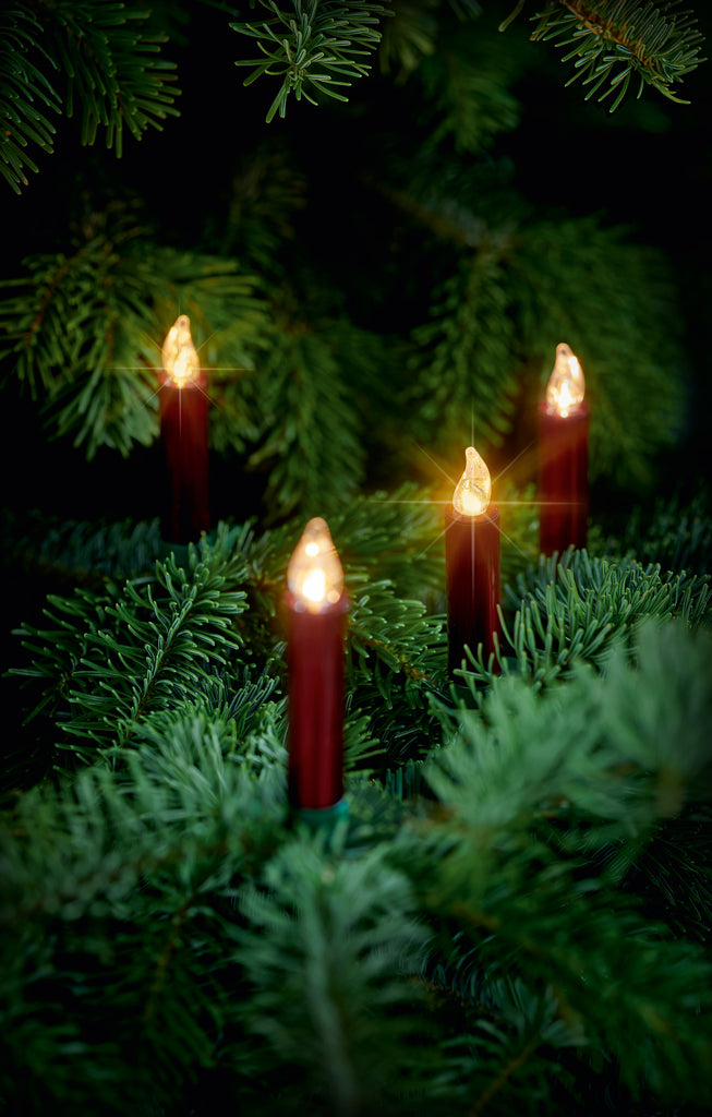 LUMIX Basic Mini Rot