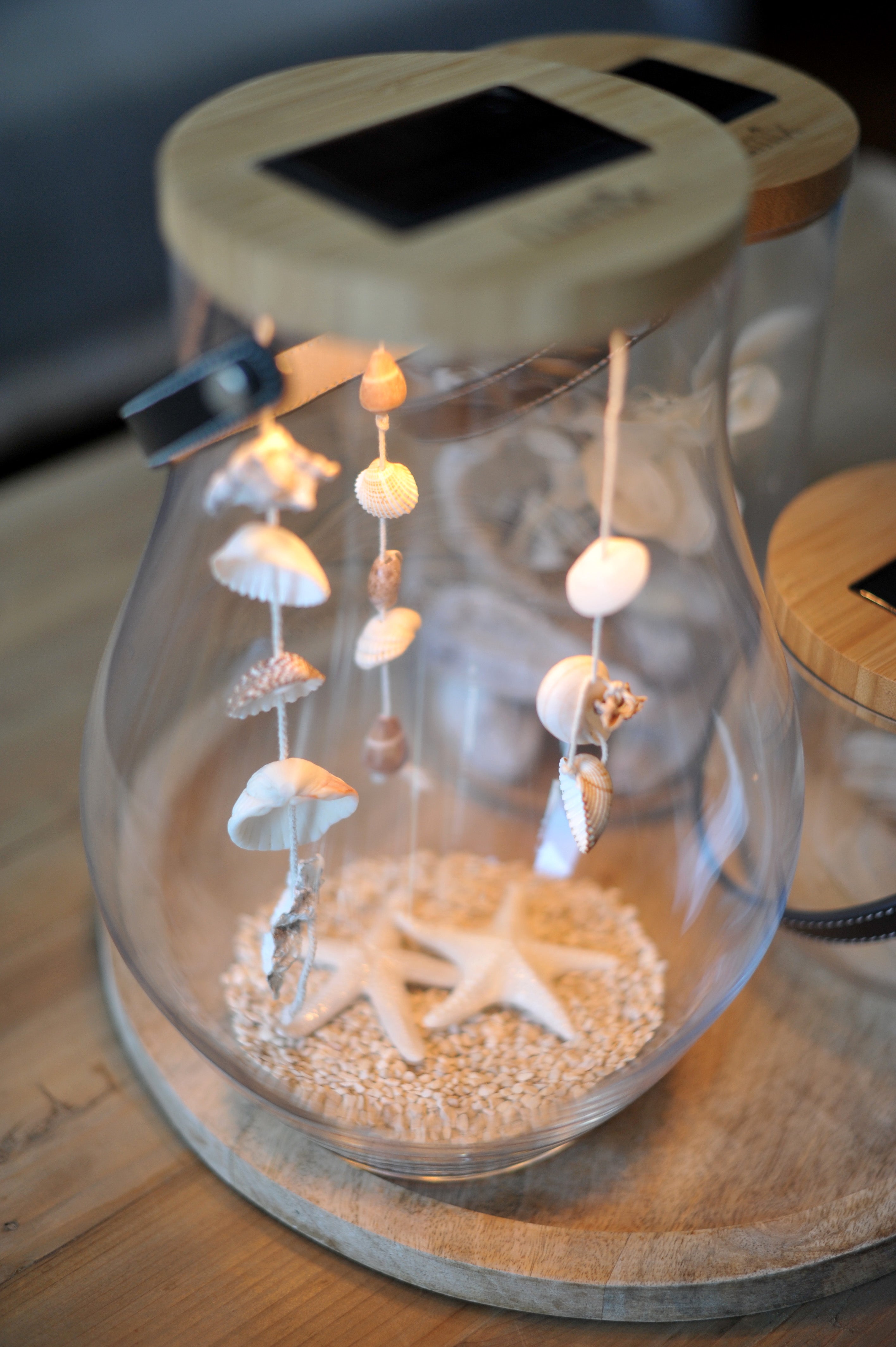 Lumix Deco Glass Bold mit Muscheln