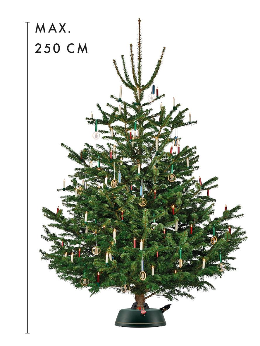 Starterset „Stressfreie Weihnachten“ - M