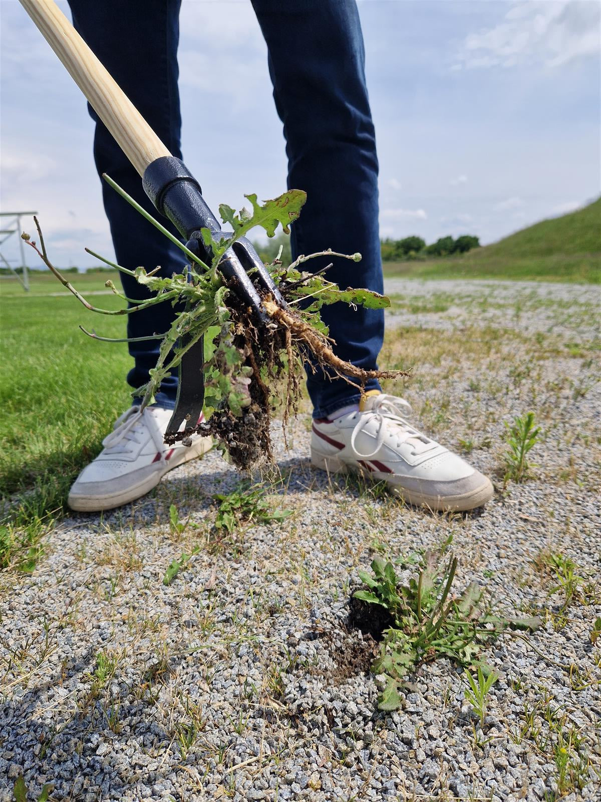 Krinner Unkrautkralle mit Unkraut in der Kralle
