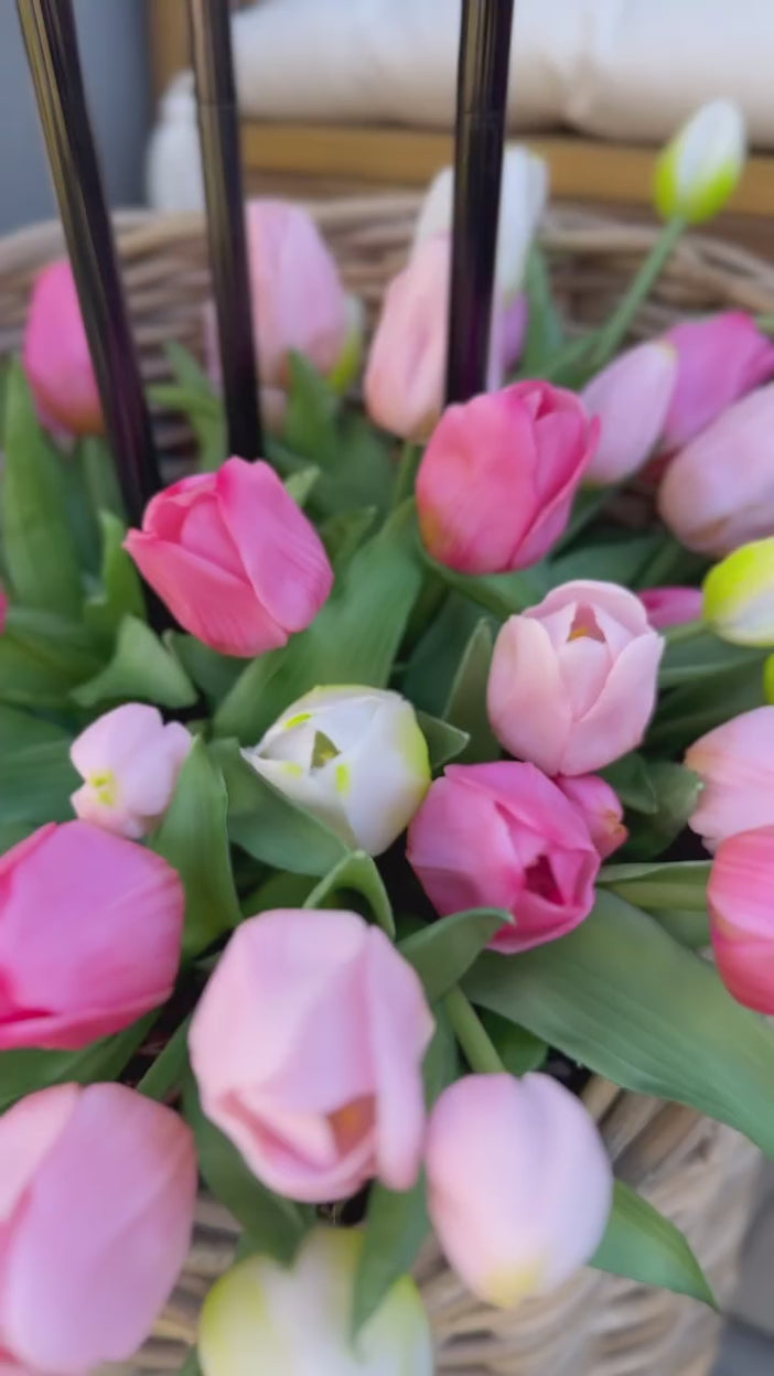 LUMIX Solar Flower Tulip