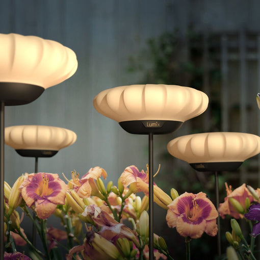 LUMIX Solar Flower Sunny