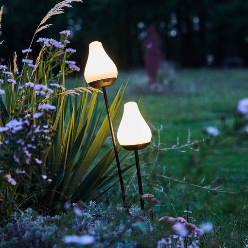 LUMIX Solar Flower Tulip