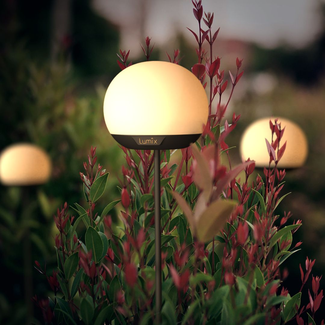 LUMIX Solar Flower Pompom