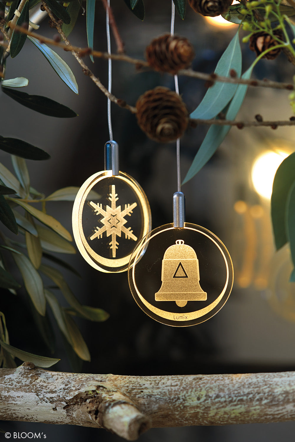 Weihnachtsgeschenk - Lumix Highlight